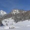 Ciaspolata Col de L' Agnelessa - 02/02/2025